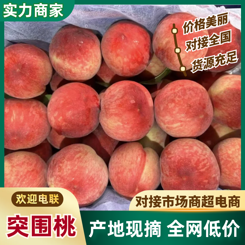 【热卖推荐】精品桃山东突围桃几十万斤品质保障可对接