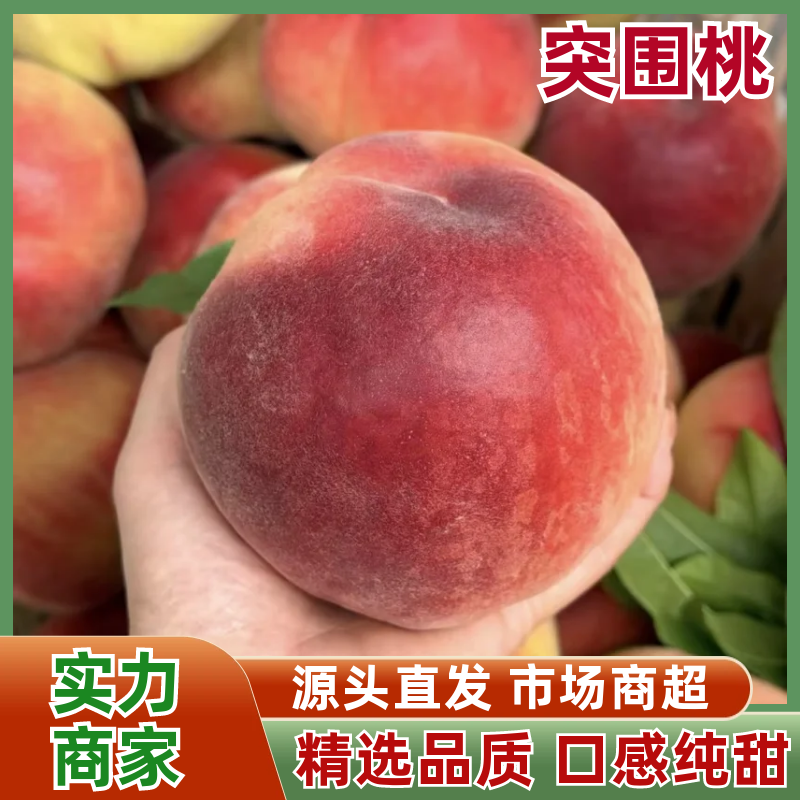 【精品】山东桃突围桃产地直发可对接全国电商市场等