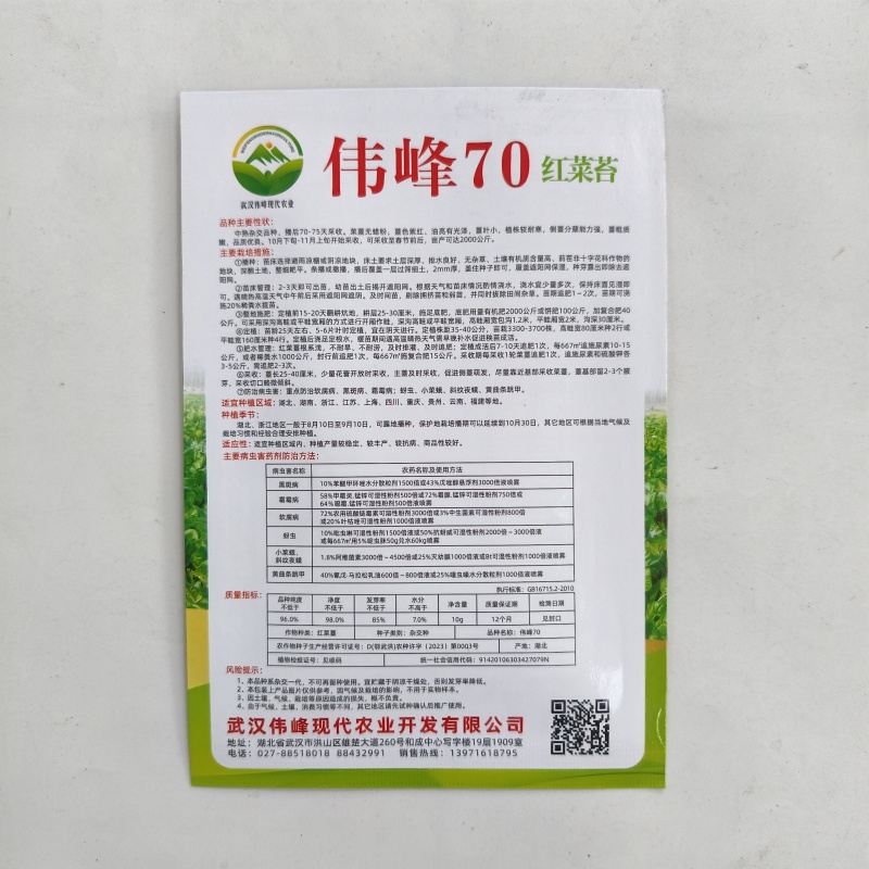 湖北原装正品伟峰70中熟红菜苔种子小叶紫红无蜡粉红菜苔