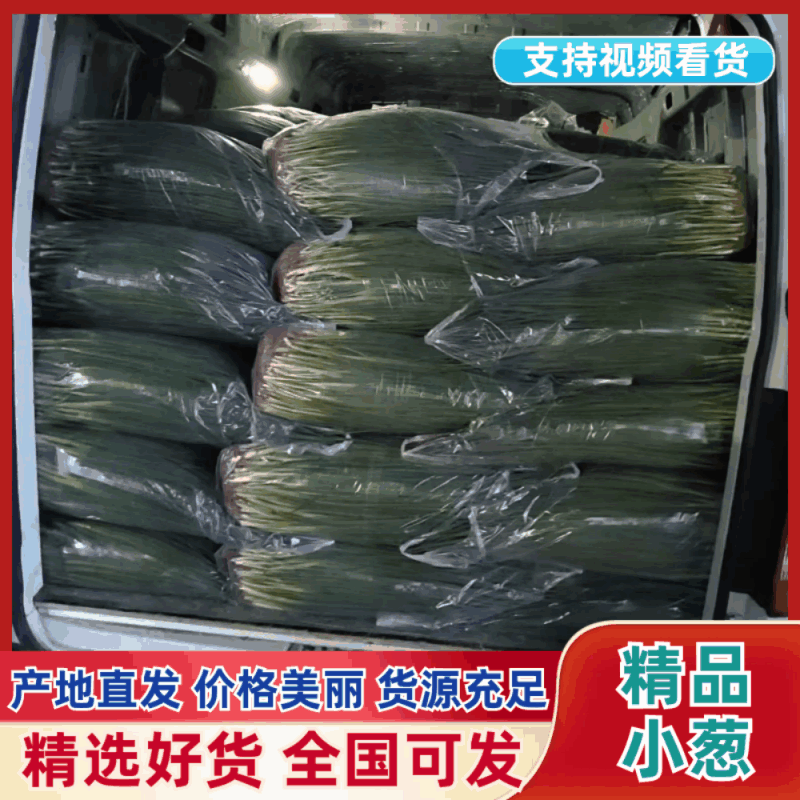 加工厂专用小葱，货源足质量好，价格合理！欢迎新老客户联系