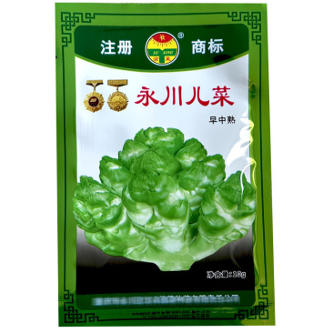 儿菜种子中早熟永川儿菜庆菜籽蔬菜种籽南方秋季娃娃菜儿孑