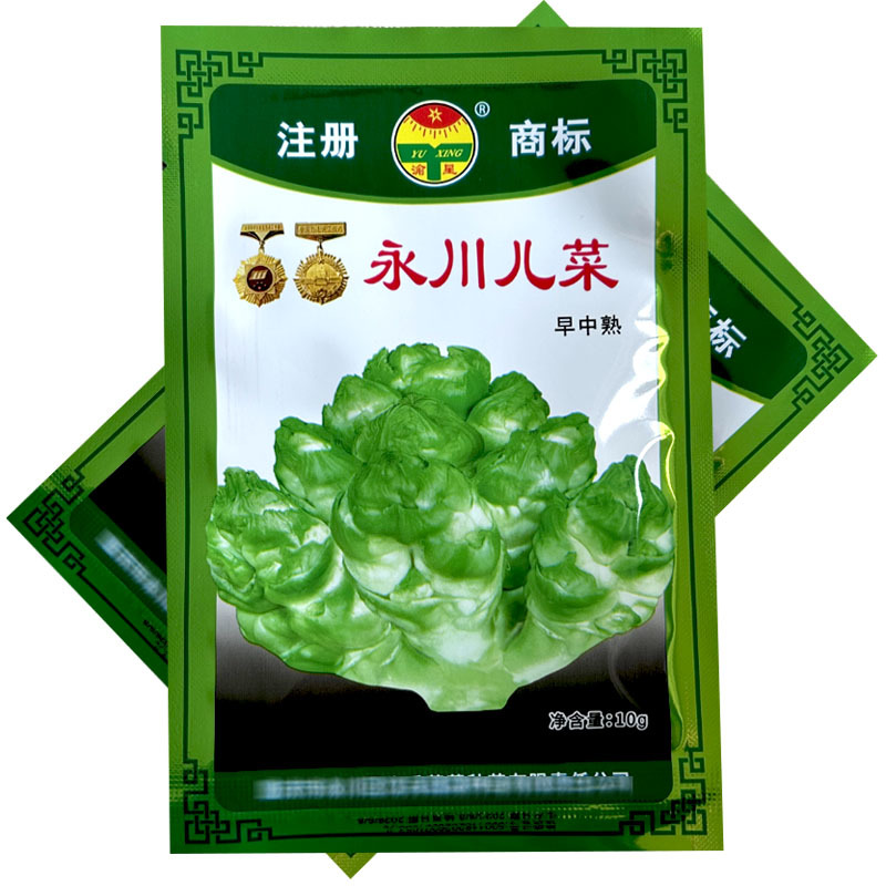 儿菜种子中早熟永川儿菜庆菜籽蔬菜种籽南方秋季娃娃菜儿孑