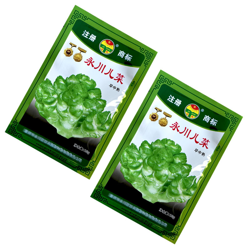 儿菜种子中早熟永川儿菜庆菜籽蔬菜种籽南方秋季娃娃菜儿孑