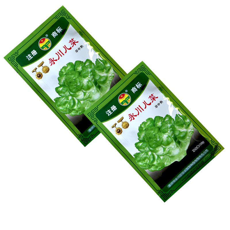 儿菜种子中早熟永川儿菜庆菜籽蔬菜种籽南方秋季娃娃菜儿孑