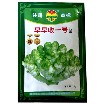 早熟儿菜种子早收一号抱子芥儿菜种籽娃娃菜大田基地型