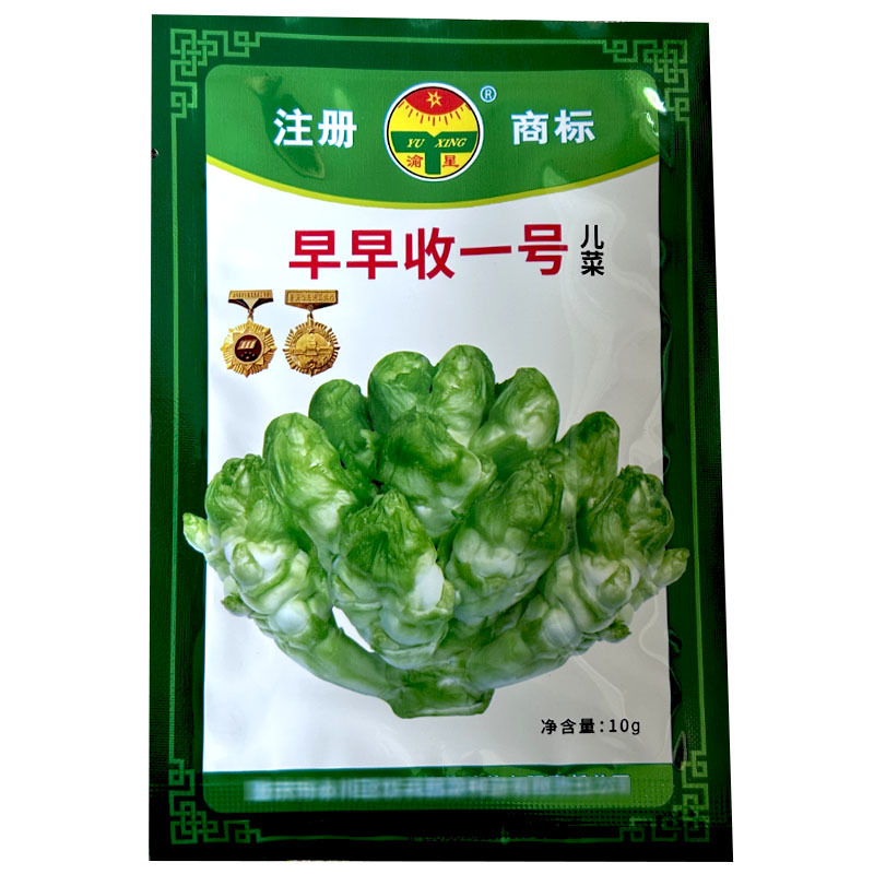 早熟儿菜种子早收一号抱子芥儿菜种籽娃娃菜大田基地型