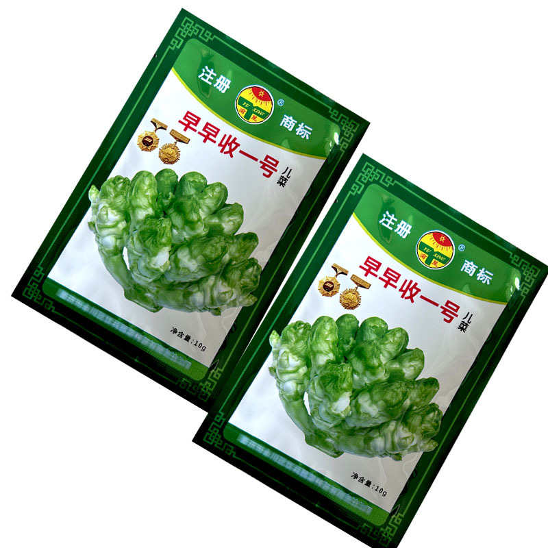 早熟儿菜种子早收一号抱子芥儿菜种籽娃娃菜大田基地型
