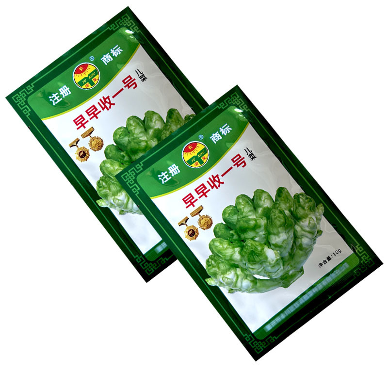 早熟儿菜种子早收一号抱子芥儿菜种籽娃娃菜大田基地型
