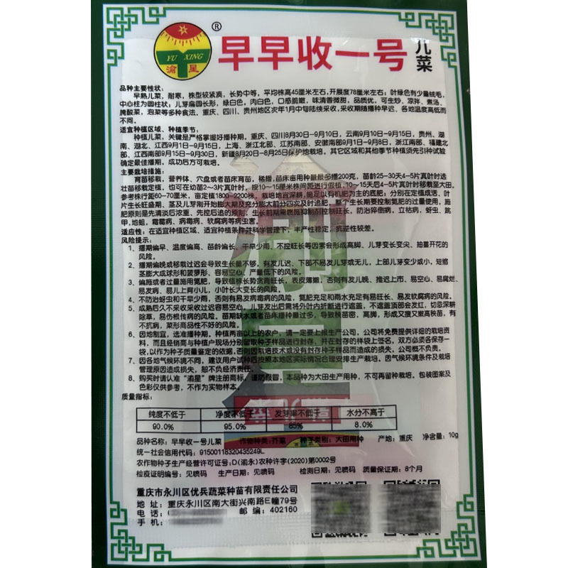 早熟儿菜种子早收一号抱子芥儿菜种籽娃娃菜大田基地型