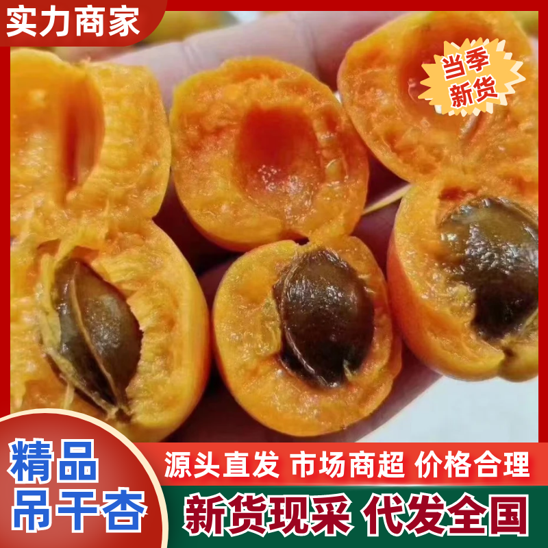 【推荐】精品小红杏/吊干杏量大从优质量保证产地供应