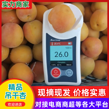 【推荐】精品新疆小红杏/吊干杏货源充足产地直发欢迎咨询