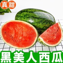 湖南精品黑美人西瓜/量大从优货源充足价格便宜
