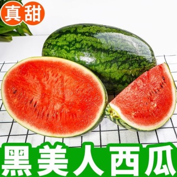 湖南精品黑美人西瓜/量大从优货源充足价格便宜