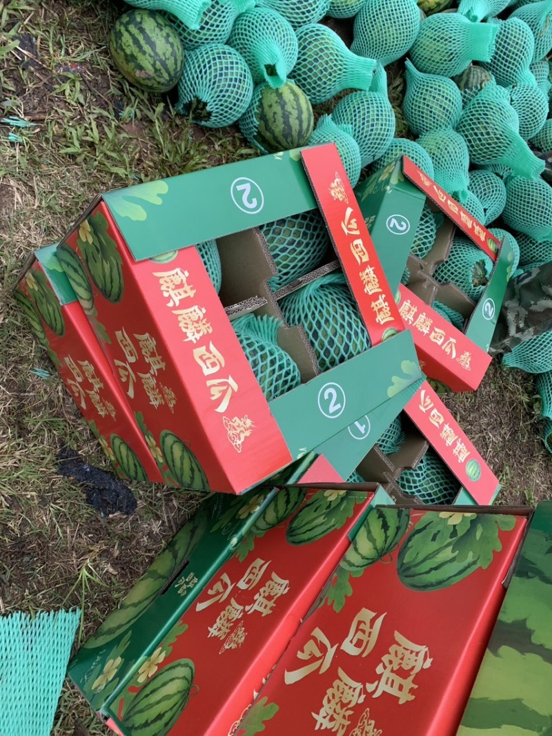 湖南精品西瓜麒麟瓜/货源充足量大价优产地直发
