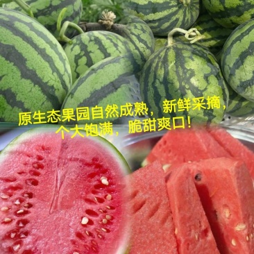 湖南精品西瓜麒麟瓜/货源充足量大价优产地直发
