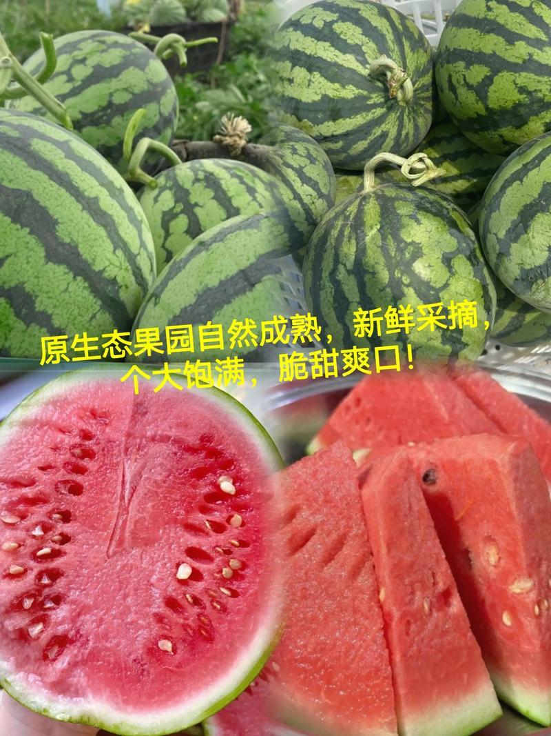 湖南精品西瓜麒麟瓜/货源充足量大价优产地直发