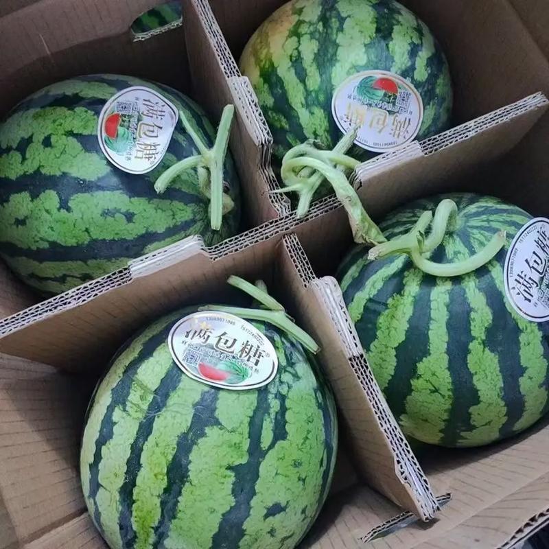 湖南精品西瓜麒麟瓜/货源充足量大价优产地直发