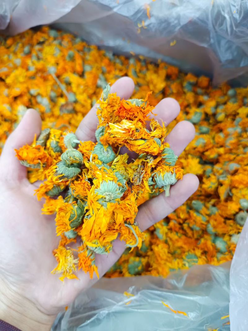 金盏菊花金盏花干花散装批发代发