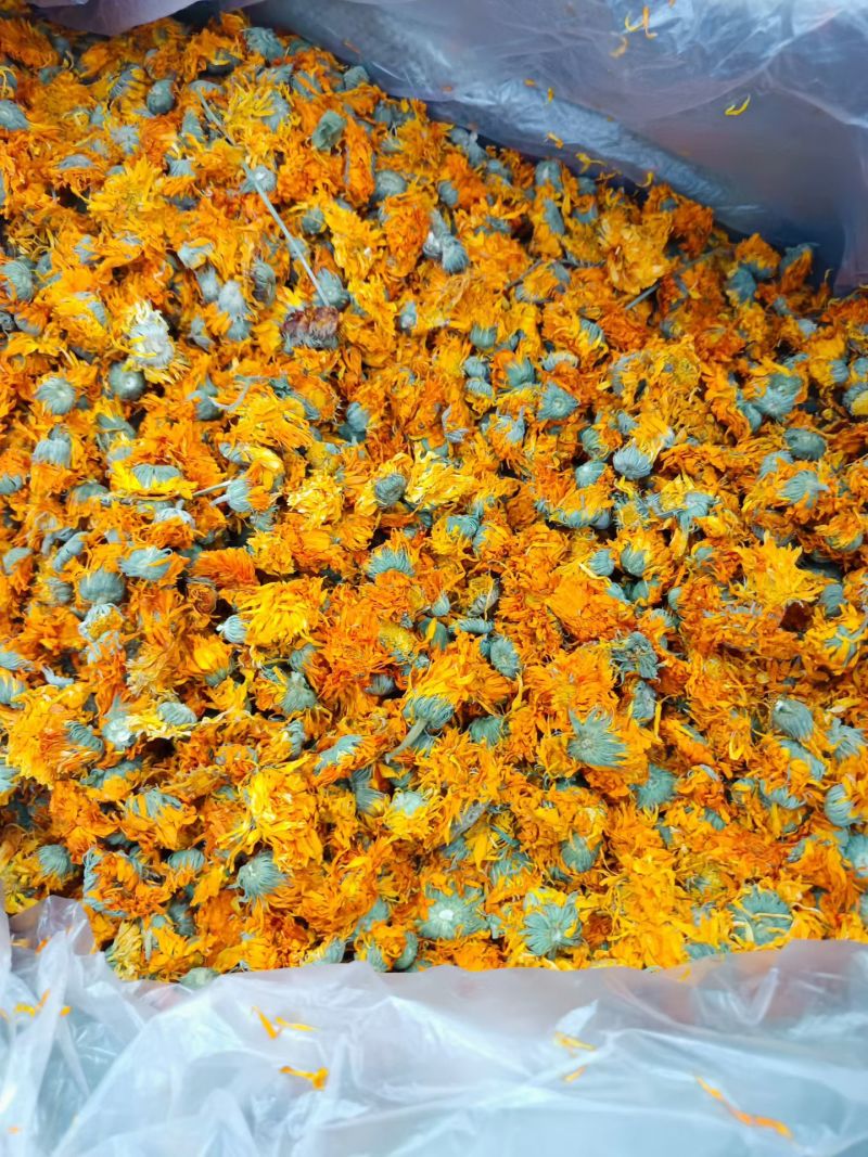 金盏菊花金盏花干花散装批发代发