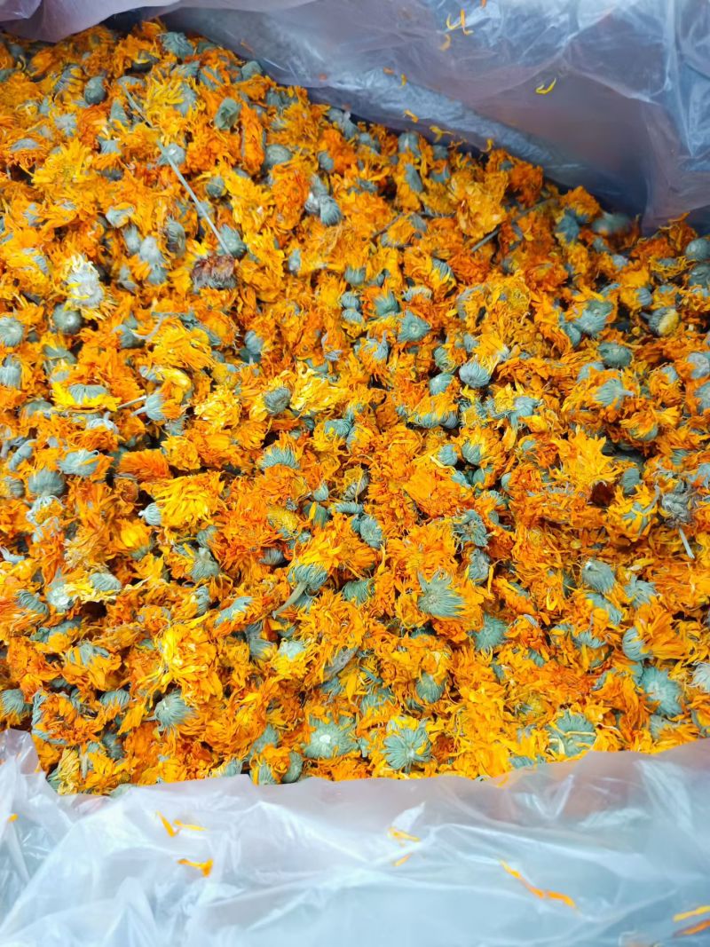 金盏菊花金盏花干花散装批发代发