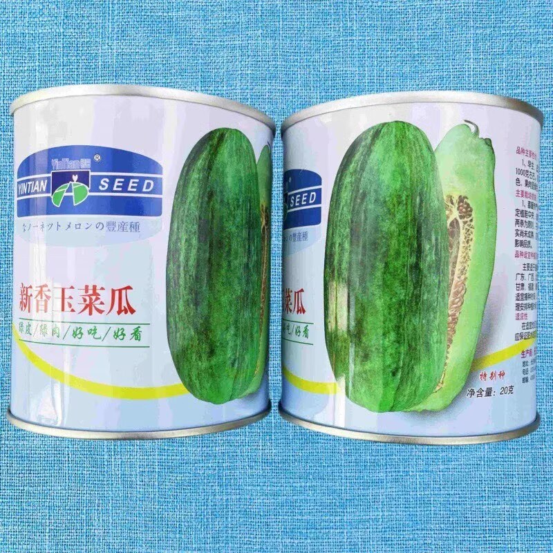 新香玉菜瓜种子香瓜酥脆优质菜瓜种子炒菜脆瓜腌制菜瓜种子