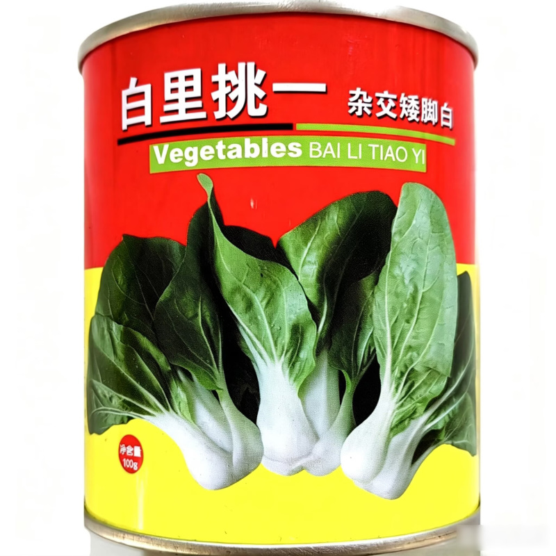 白里挑一杂交矮脚白菜种子四季小白菜种籽耐热抗病白梗白菜种