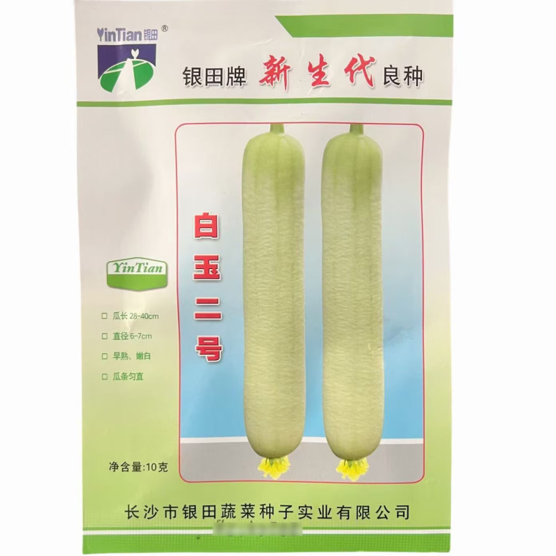 白玉二号丝瓜种子早熟嫩白丝瓜种子味微甜有瓜香白皮肉丝瓜种