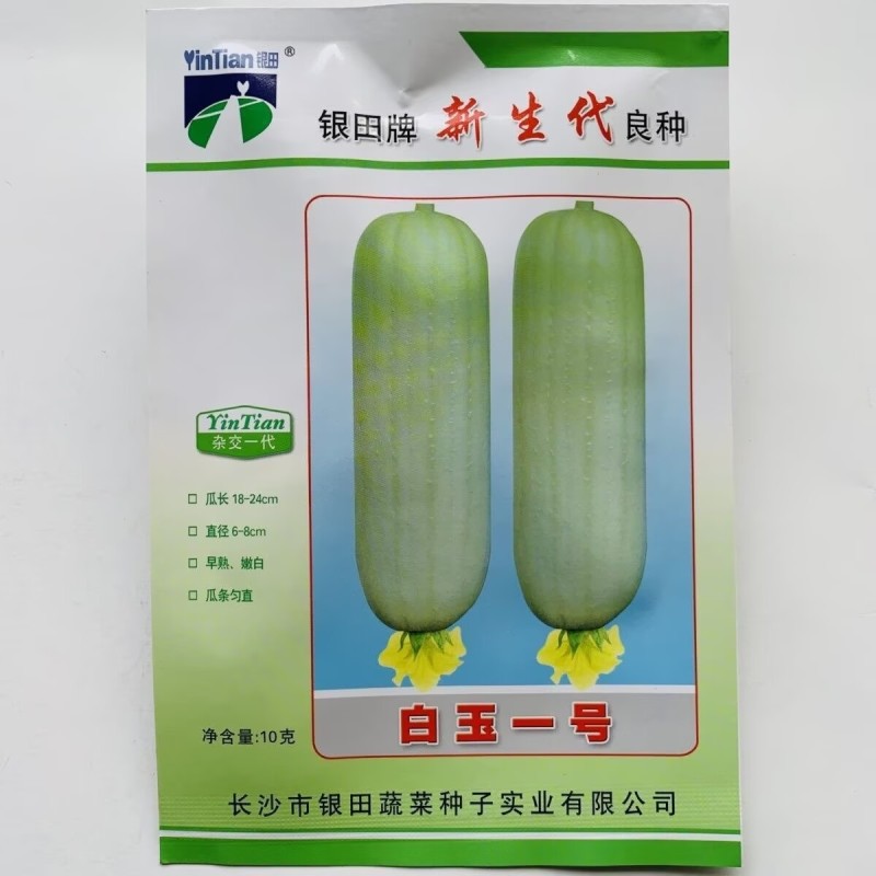 白玉一号丝瓜种子早熟嫩白短棒型肉香丝瓜种子高产春秋播
