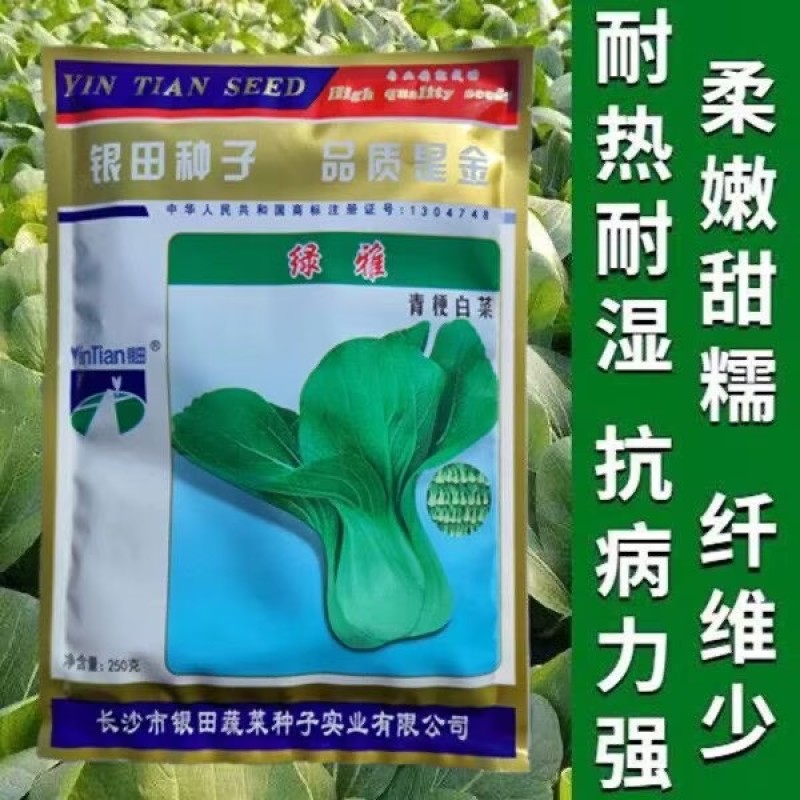 绿雅小白菜种子青梗菜种子抗病耐热耐寒耐雨水四季播小青菜种