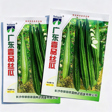 广东壹品丝瓜种子棱角丝瓜种子爬藤耐热八角丝瓜长棱丝瓜种籽