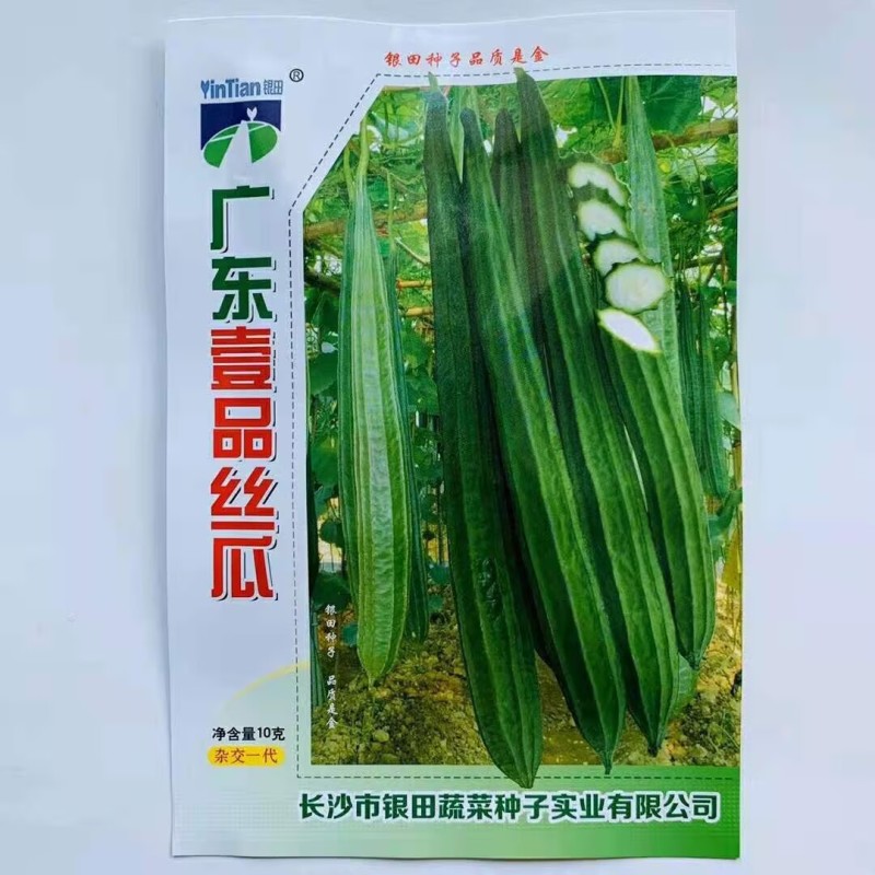 广东壹品丝瓜种子棱角丝瓜种子爬藤耐热八角丝瓜长棱丝瓜种籽