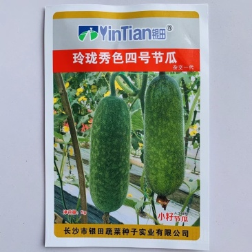 玲珑秀色四号节瓜种子小型冬瓜种籽肉质嫩绿瓜腔小高产抗病