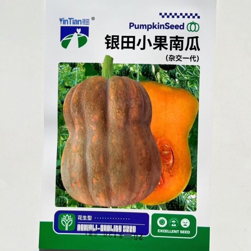 银田国小果南瓜种子花生南瓜种子甜糯早熟粉甜小南瓜种子
