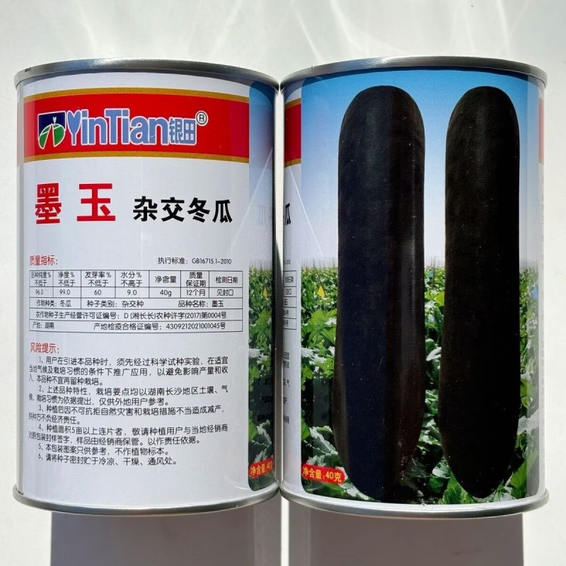 墨玉黑皮冬瓜种子杂交炮弹型皮墨绿肉厚腔小耐贮运春秋蔬菜种