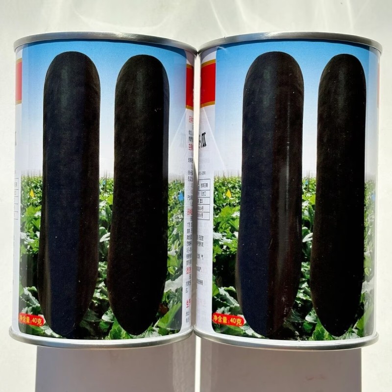 墨玉黑皮冬瓜种子杂交炮弹型皮墨绿肉厚腔小耐贮运春秋蔬菜种