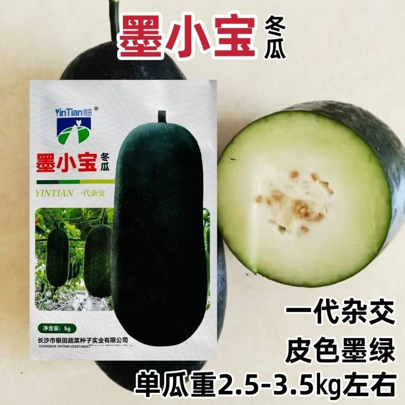 墨小宝黑冬瓜种子杂交迷你黑皮小冬瓜种子早熟高产墨绿色冬瓜