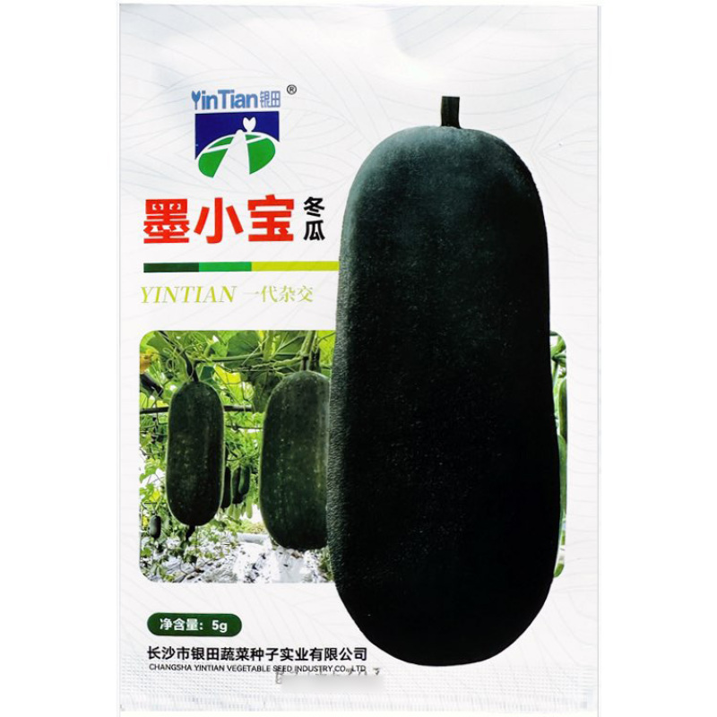 墨小宝黑冬瓜种子杂交迷你黑皮小冬瓜种子早熟高产墨绿色冬瓜