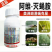 31%阿维灭蝇胺美洲斑潜蝇鬼画符潜叶蛾杀虫剂
