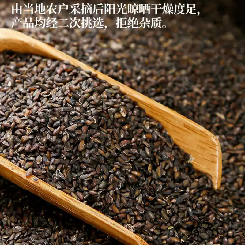 车前子