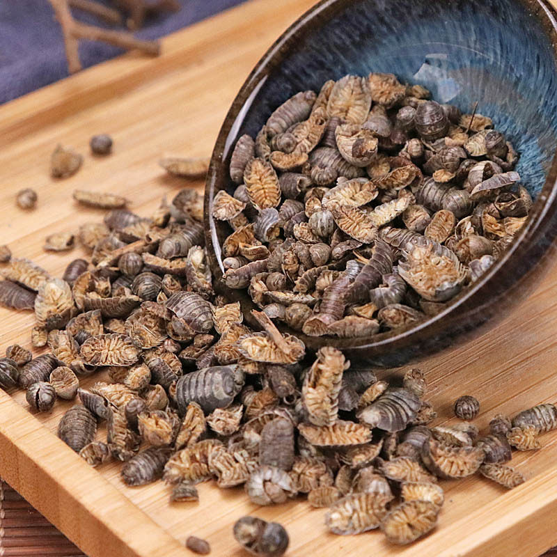 鼠妇新货鼠妇鼠妇虫正品批发潮虫零售假一赔十