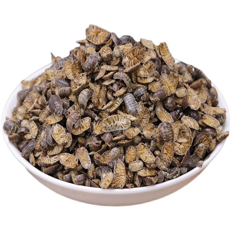 鼠妇新货鼠妇鼠妇虫正品批发潮虫零售假一赔十