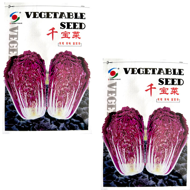 千宝菜紫白菜种子绿色和紫色两种75天耐寒耐湿基地型