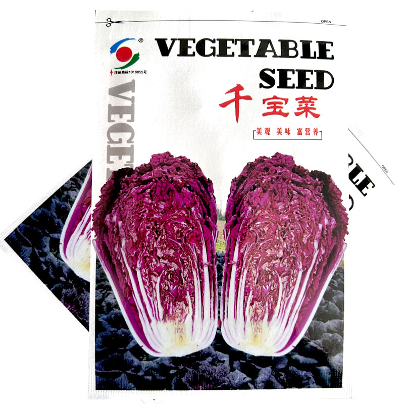 千宝菜紫白菜种子绿色和紫色两种75天耐寒耐湿基地型