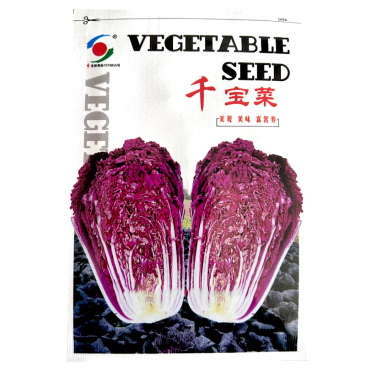 千宝菜紫白菜种子绿色和紫色两种75天耐寒耐湿基地型