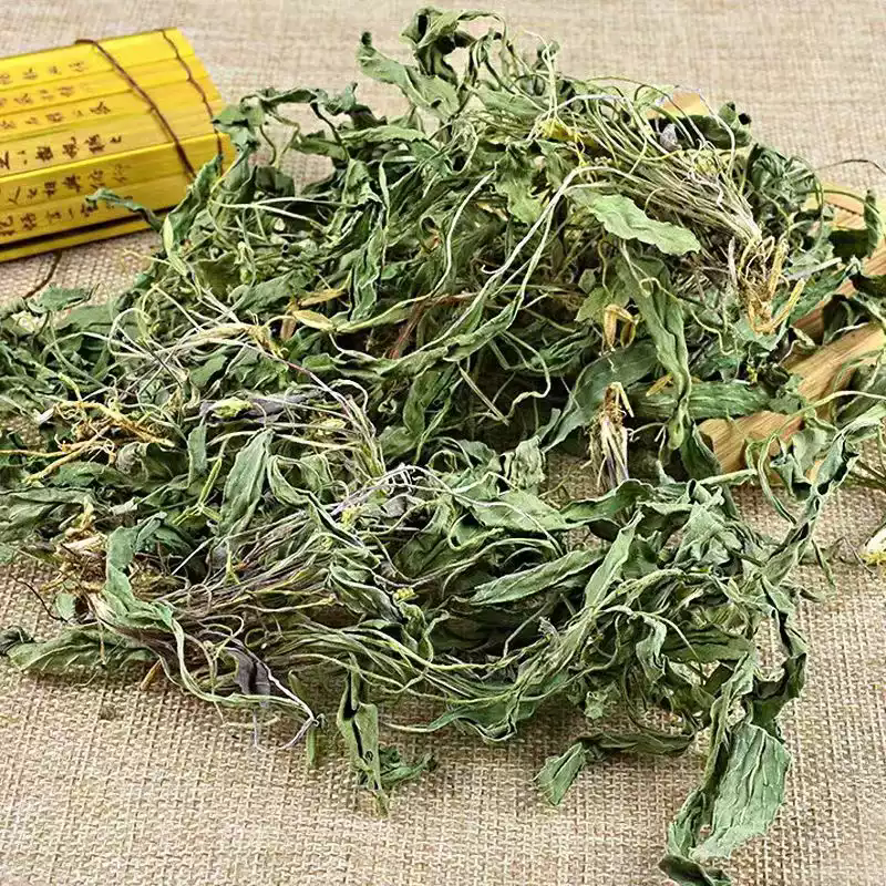 紫花地丁