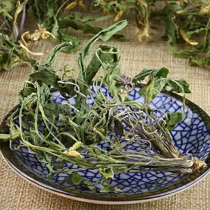 紫花地丁