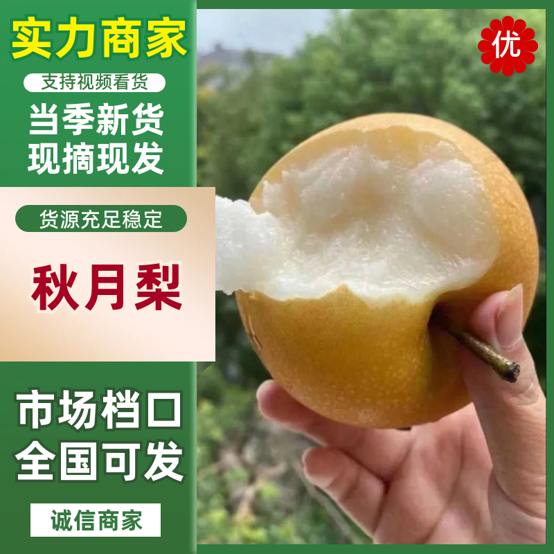【热卖推荐】安徽砀山秋月梨汁水丰富产地直销可对接全国欢迎采购