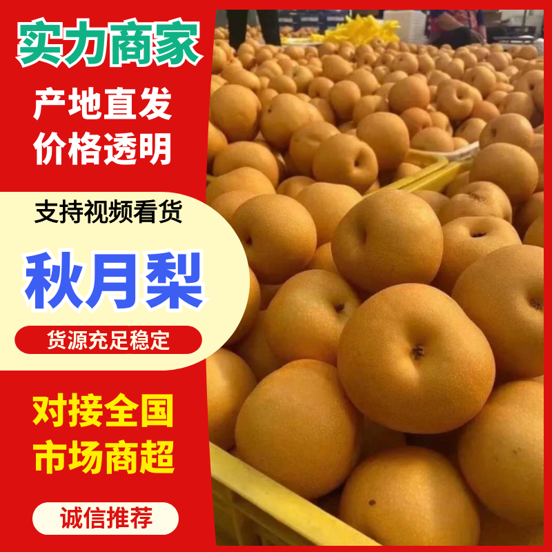 秋月梨安徽砀山梨品类齐全甜化渣产地直销保质保量全国代办