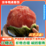 【精品】安徽小西瓜早春红玉西瓜基地直发量大便宜欢迎来电
