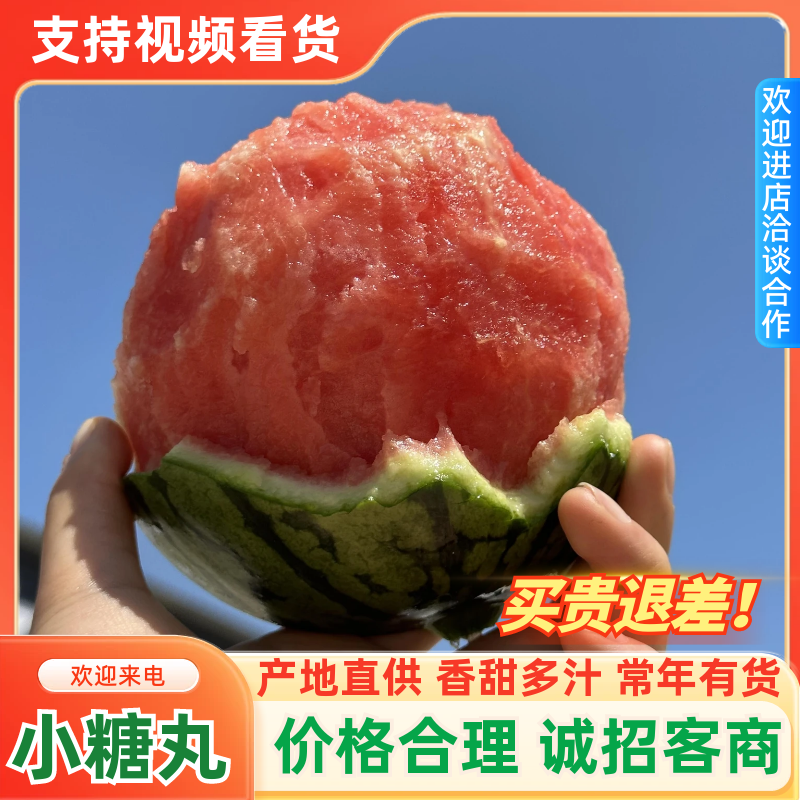 【精品】安徽小西瓜早春红玉西瓜基地直发量大便宜欢迎来电